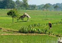 PHKT Buka Peluang Replikasi Program Gerbang Insan Mapan di Kaltim
