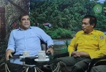 Kebakaran Hutan Kaltim Berulang, Mitigasi Dinilai Mendesak