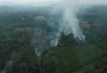Pantauan Drone Deteksi Titik Potensi Karhutla di Sekitar Bandara APT Pranoto