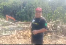 Alat Berat Ditemukan di Kawasan Hutan Kaliorang, Satgas Karhutla Turun Tangan