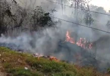 KM 9 KHDT Delineasi IKN Terbakar, Puntung Rokok Diduga Jadi Pemicu