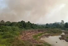 BPBD Catat 185 Kejadian Kebakaran Hutan dan Lahan di Samarinda