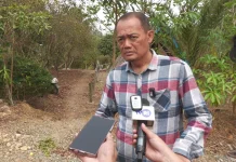 Ketersediaan Pangan Jadi Tantangan Pengembangan Pertanian IKN