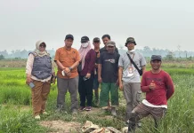 Kementan Perkuat Pengairan Sawah di Kutai Timur Hadapi Ancaman Kekeringan