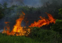 Kerugian Ekonomi dan Ekologis di Kalimantan Timur akibat Karhutla