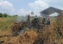 Karhutla di Paser Tembus 1.000 Hektar dari Total 398 Titik Lokasi