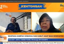 Kemarau Ekstrem dan Karhutla, Waspadai Dampak Kabut Asap bagi Kesehatan