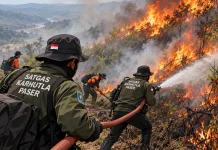 Satgas Karhutla Paser Kesulitan Padamkan Api di Kawasan Perbukitan