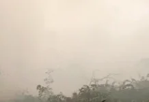 Kebakaran Lahan Gambut Muara Muntai Masih dalam Penanganan