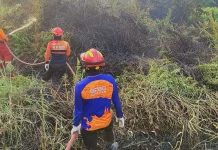 Karhutla di Sangatta Selatan Berhasil Dipadamkan, Satu Hektare Lahan Terbakar