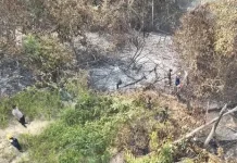 Kebakaran Lahan di Kariangau Balikpapan Barat Hanguskan Sekitar Satu Hektare