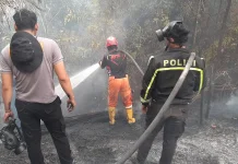 Karhutla Berau Capai 18 Hektare, Sejumlah Titik Belum Padam