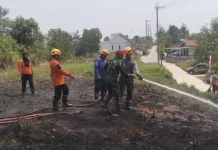 Pembukaan Lahan dengan Cara Dibakar Picu Titik Api di Balikpapan Utara