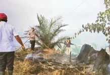 Kebakaran Lahan di Long Mesangat Kutai Timur Berhasil Dipadamkan