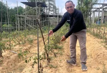 Kemarau Ekstrem Ancam 70 Persen Gagal Panen Hortikultura di Balikpapan