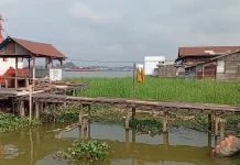 TERAS Samarinda Integrasikan 1.216 Data Usulan Program Bedah Rumah