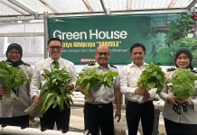 Bapas Balikpapan Sulap Lahan Sempit Jadi Green House dan Bekali Klien