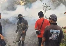 BPBD: September Jadi Fase Kritis Karhutla di Kaltim
