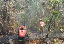 Polres Paser Dalami Kasus Karhutla, Diduga Ada Oknum Lain