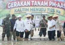 Bupati PPU Tekankan Kesiapan Lahan untuk Tingkatkan Produksi Padi