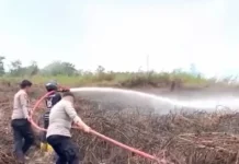 Palaran Jadi Wilayah Karhutla Tertinggi di Samarinda
