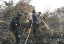 Karhutla Hari Kelima di Petung PPU, Titik Api dan Asap Gambut Masih Terpantau