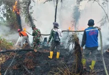 Karhutla Melanda Paser, Enam Titik Berhasil Ditangani