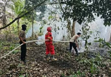 Sebelas Kejadian Karhutla Tercatat di Berau, 3,4 Hektare Masih Belum Padam