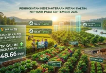 Nilai Tukar Petani Kaltim Mengalami Kenaikan pada September 2026