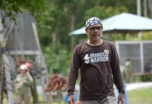 Asap Karhutla Mulai Tercium Orangutan Disiapkan Peralatan Darurat