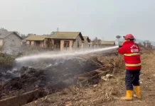Karhutla Samarinda Capai 608,18 Hektare, Pulau Atas Terparah