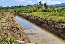 Hujan Sporadis Belum Akhiri Kekeringan di Kalimantan Timur