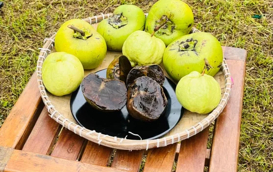 Black Sapote, Si Buah Puding Cokelat Asal Meksiko