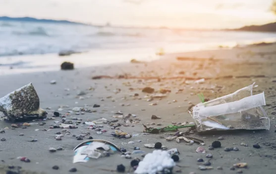 Inovasi Jepang, Plastik Supramolekul yang Larut Total di Air Laut