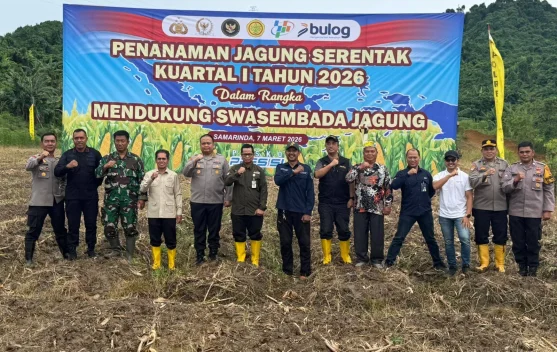 Kaltim Perkuat Target Swasembada Jagung 2026 Melalui Kolaborasi