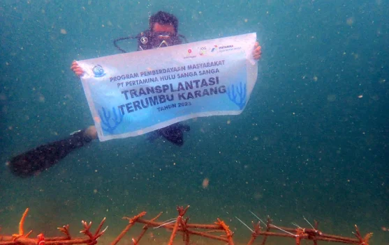 Menjaga Napas Laut dari Pesisir Muara Badak
