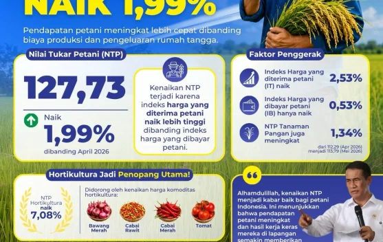 NTP Mei 2026 Naik Jadi 127,73, Kesejahteraan Petani Terus Menguat