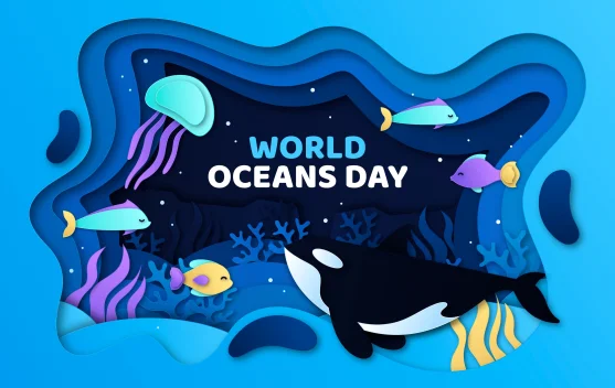 PBB Ungkap Polusi Plastik dan Krisis Ikan Ancam Laut Dunia