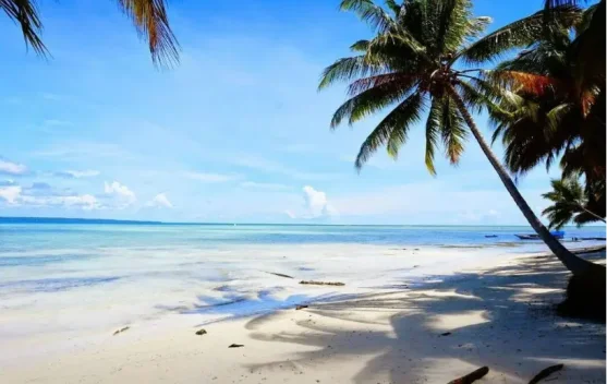 Dorong Pertumbuhan Ekonomi, Pemkab Berau Fokus Kembangkan Pariwisata