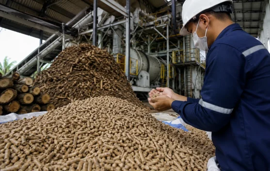 Biomassa Dinilai Jadi Peluang Besar Transisi Energi di Kalimantan Timur