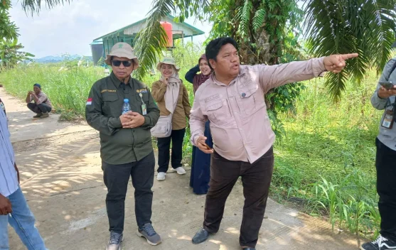 Kementerian Pertanian Targetkan 6.500 Hektare Cetak Sawah di Kukar
