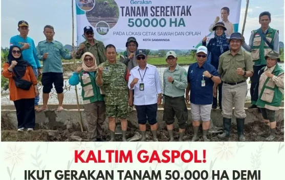 Gerakan Tanam Nasional 50.000 Hektare, Kaltim Perkuat Ketahanan Pangan