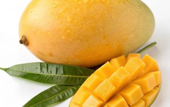 Manfaat Buah Mangga, Kaya Nutrisi Penunjang Kesehatan Tubuh