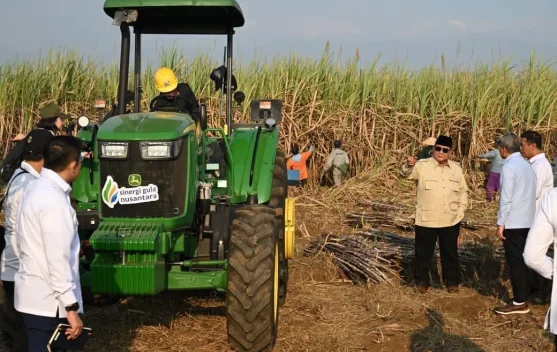 Prabowo Tegaskan Percepatan Program Strategis untuk Wujudkan Indonesia Mandiri