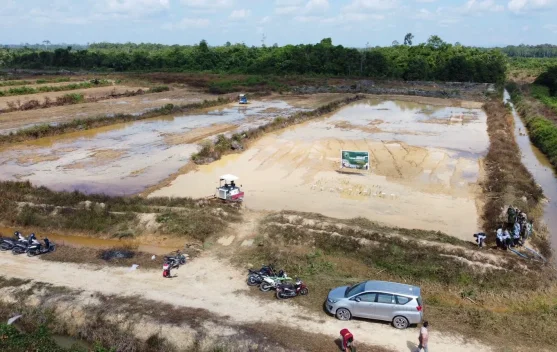 Gerakan Tanam Serempak di Berau Perkuat Langkah menuju Swasembada Pangan