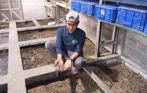 TPST 3R Muara Jawa, Rumah Maggot yang Menjaga Lingkungan dan Menggerakkan Ekonomi