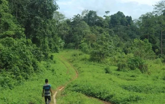 Mahasiswa Unmul Teliti Kampung Adat Mului Jaga Kelestarian Hutan Kalimantan