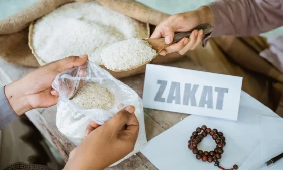 Zakat dan Pajak Miliki Fungsi Berbeda tapi Menjadi Kewajiban