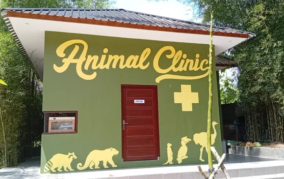 Rumah Ulin Arya Kembangkan Klinik Hewan untuk Konservasi Satwa