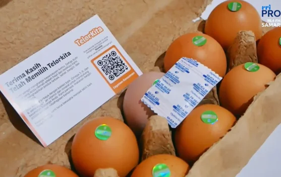 Dari Masalah Lingkungan, Limbah Kepala Udang Jadi Pakan Telur Omega